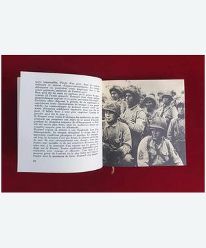 378058204_323032786885861_6711198347343531199_n