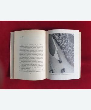 la_fin_du_regime_de_vichy_2